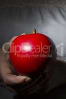 Red ripe apple in hands
