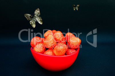 ERDBEEREN MIT INSEKTEN #291