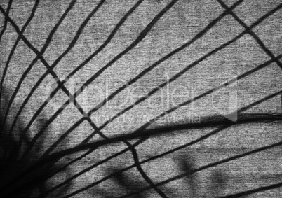 Silhouette of a lattice on a fabric