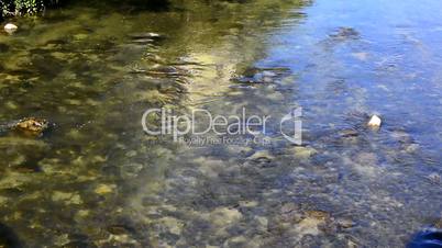 Closeup of trasnparent water flowing in a river