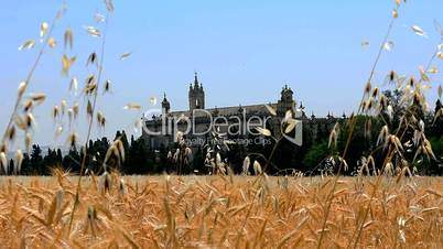 Image of a monastery above a wheat field, Jerez de la Frontera, Spain