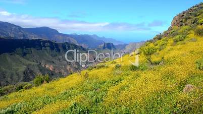 High mountain landscape in spring, Gran Canaria, Spain