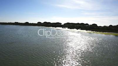 River bank near the mouth of the sea, with algae