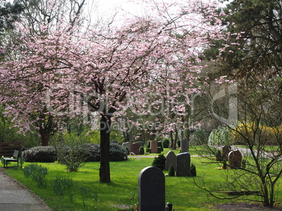 Grabstätten auf einem Friedhof