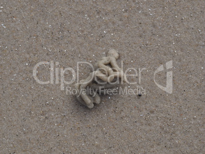 Sandhaufen vom Wattwurm geformt