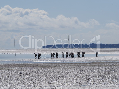 wattwanderung im Watt der Nordsee, zwischen