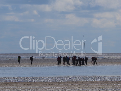 wattwanderung im Watt der Nordsee, zwischen