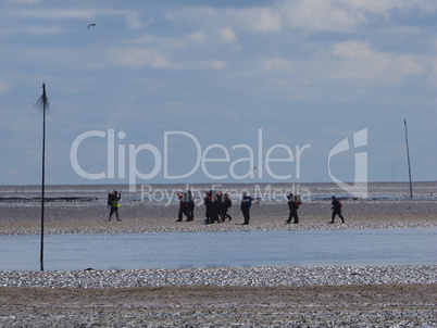 wattwanderung im Watt der Nordsee, zwischen