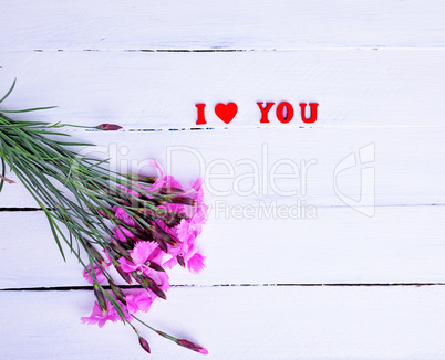 Bouquet of lilac carnations