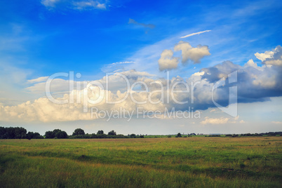 Summer rural landscape