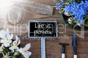 Sunny Spring Flowers, Sign, Quote Life Is Perfect