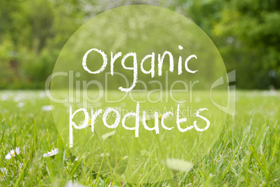 Gras Meadow, Daisy Flowers, Text Organic Products