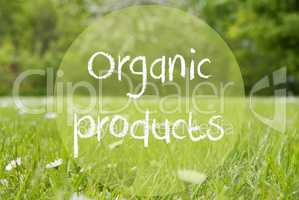 Gras Meadow, Daisy Flowers, Text Organic Products
