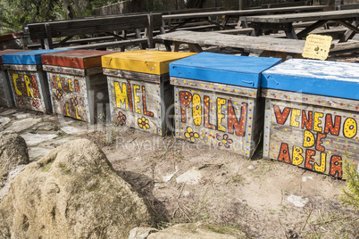 Nice decorated bee hives