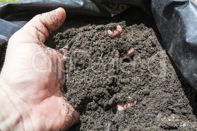 Mulch in a sack for the orhcard, garden or field