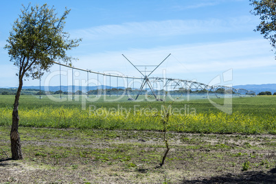 Industrial irrigation of crops