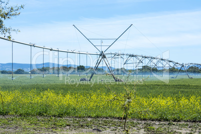 Industrial irrigation of crops