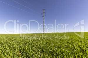 Electric tower in green field