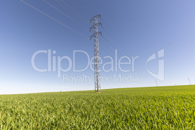 Electric tower in green field