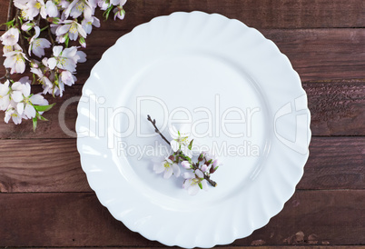 Empty white plate and a branch of blossoming almonds