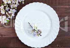 Empty white plate and a branch of blossoming almonds