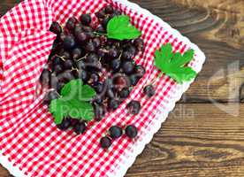 Black currant on a red napkin