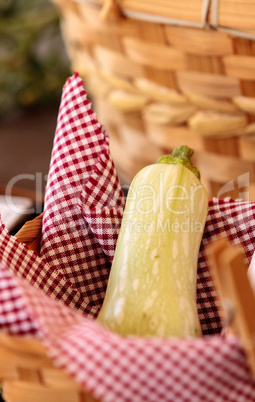 Squash grows on a small organic farm