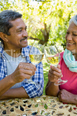 Senior couple toasting wine glasses