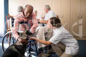 Cheerful female doctor kneeling by disabled senior man stroking puppy