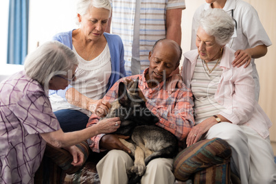 Senior people with doctor stroking dog while sitting on couch