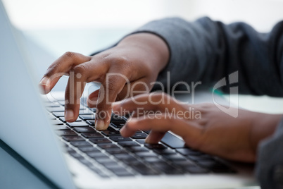 Cropped image of businesswoman using laptop