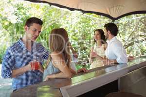 Smiling friends interacting while having a cocktail at counter