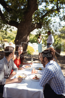 Group of friends having lunch