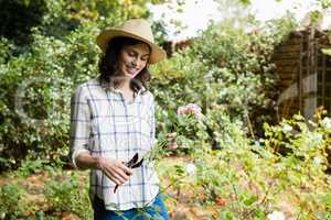 Woman trimming flowers with pruning shears in garden