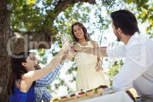 Group of friends toasting champagne glasses