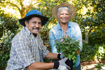 Couple holding sapling plant in garden