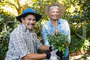 Couple holding sapling plant in garden