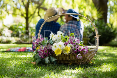 Senior couple taking a selfie in garden