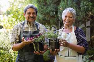 Happy senior couple holding pot plant in garden