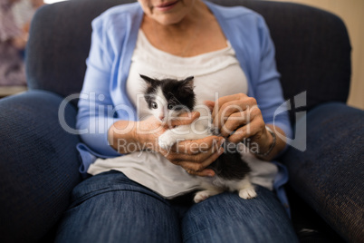 Midsection of senior woman stroking kitten while sitting on armchair