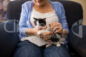 Midsection of senior woman stroking kitten while sitting on armchair