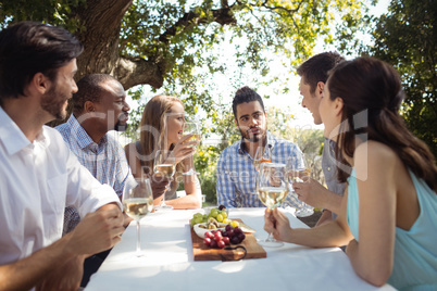 Group of friends interacting with each other while having champagne