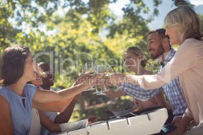 Group of friends toasting glasses of wine in a restaurant