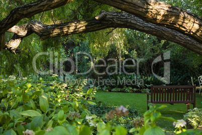 View of empty bench in garden