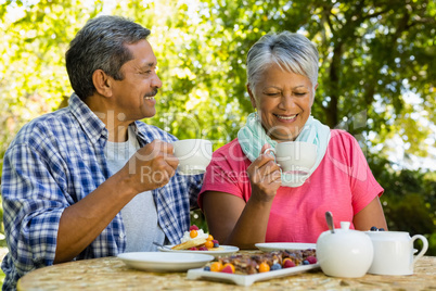 Senior couple drinking tea