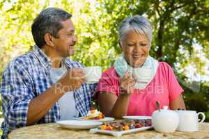 Senior couple drinking tea