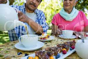 Senior couple drinking tea