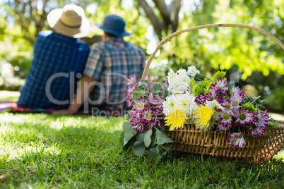 Senior couple taking a selfie in garden