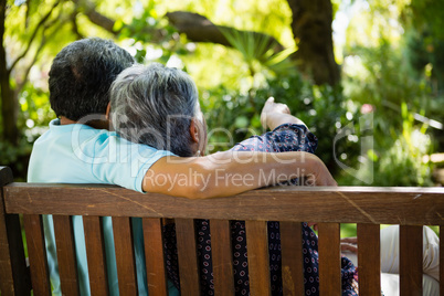 Senior couple pointing to a distance in garden