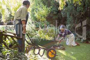Senior couple gardening in the garden
